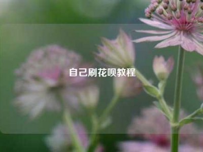 自己刷花呗教程