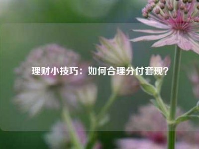 理财小技巧：如何合理分付套现？