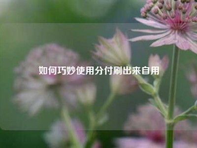 如何巧妙使用分付刷出来自用