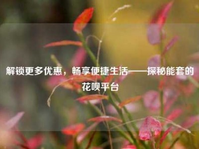 解锁更多优惠，畅享便捷生活——探秘能套的花呗平台