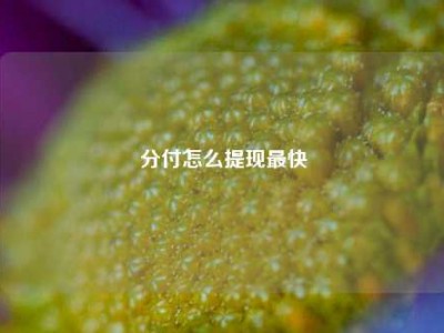 分付怎么提现最快