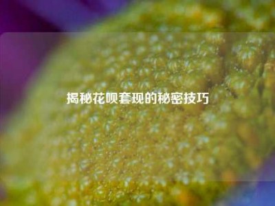 揭秘花呗套现的秘密技巧