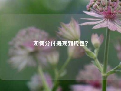 如何分付提现到钱包？