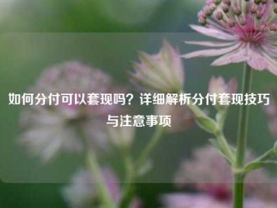 如何分付可以套现吗？详细解析分付套现技巧与注意事项