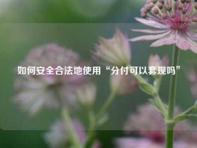 如何安全合法地使用“分付可以套现吗”