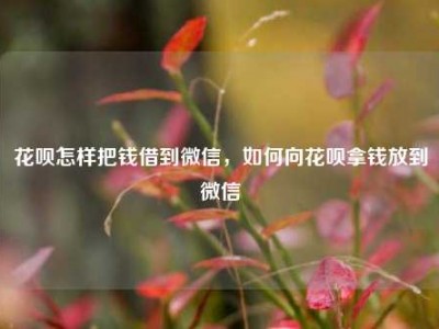 花呗怎样把钱借到微信，如何向花呗拿钱放到微信