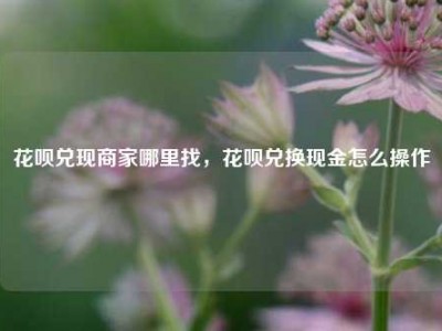 花呗兑现商家哪里找，花呗兑换现金怎么操作