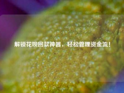 解锁花呗回款神器，轻松管理资金流！