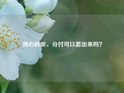 用心聆听，分付可以套出来吗？