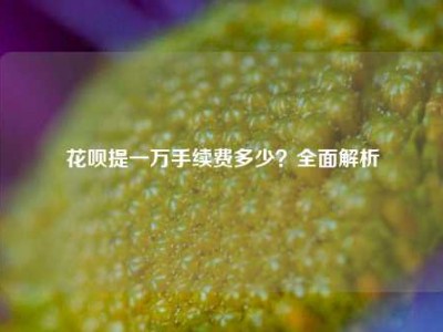 花呗提一万手续费多少？全面解析