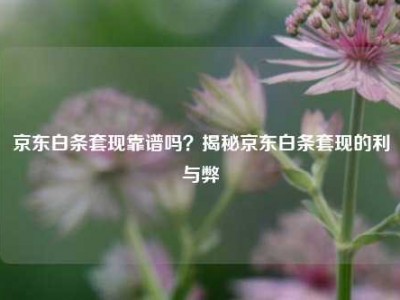 京东白条套现靠谱吗？揭秘京东白条套现的利与弊