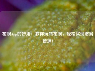 花呗App的妙用：教你玩转花呗，轻松实现财务管理！