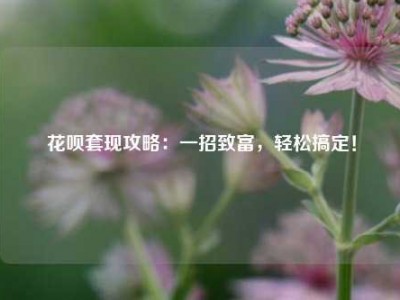 花呗套现攻略：一招致富，轻松搞定！