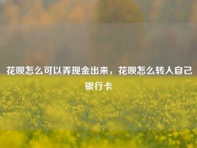 花呗怎么可以弄现金出来，花呗怎么转入自己银行卡