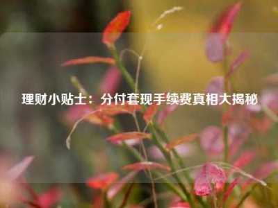 理财小贴士：分付套现手续费真相大揭秘