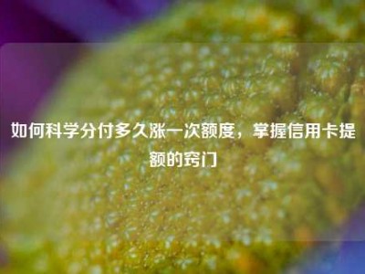 如何科学分付多久涨一次额度，掌握信用卡提额的窍门