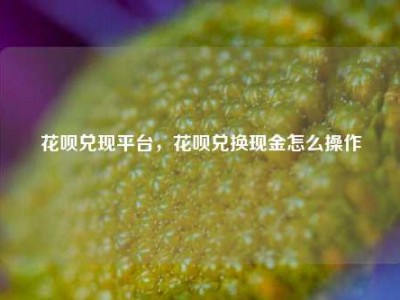 花呗兑现平台，花呗兑换现金怎么操作