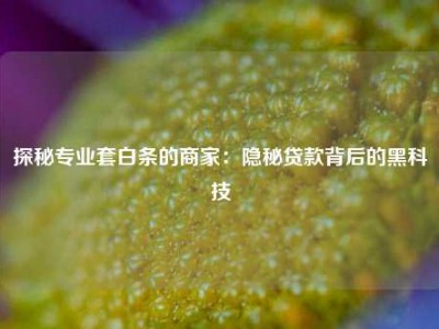 探秘专业套白条的商家：隐秘贷款背后的黑科技