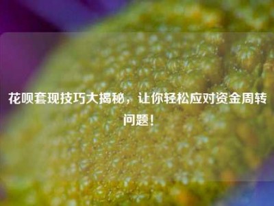 花呗套现技巧大揭秘，让你轻松应对资金周转问题！