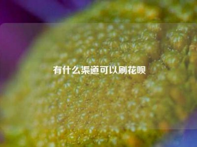 有什么渠道可以刷花呗