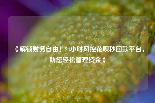 《解锁财务自由！24小时风控花呗秒回款平台，助您轻松管理资金》