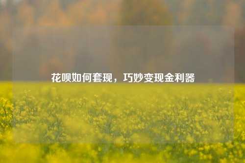 花呗如何套现，巧妙变现金利器