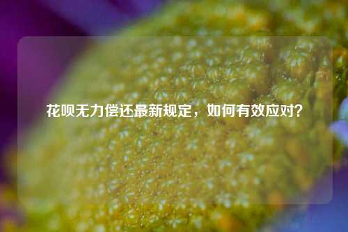 花呗无力偿还最新规定，如何有效应对？