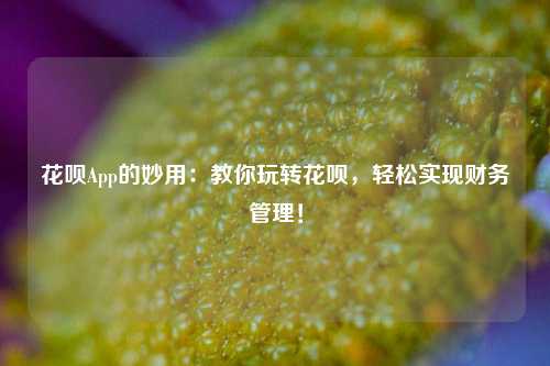 花呗App的妙用：教你玩转花呗，轻松实现财务管理！