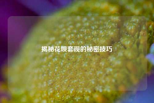 揭秘花呗套现的秘密技巧