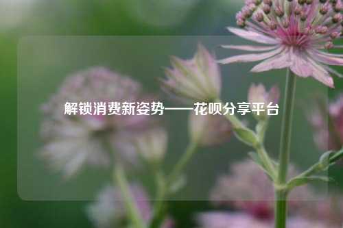 解锁消费新姿势——花呗分享平台