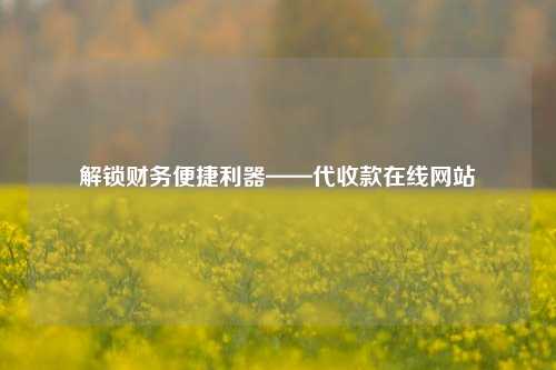 解锁财务便捷利器——代收款在线网站