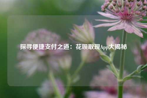 探寻便捷支付之道：花呗取现App大揭秘