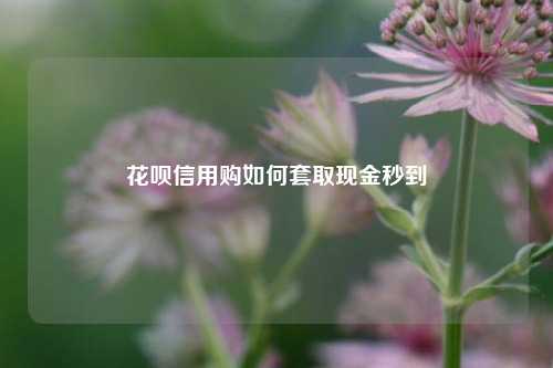 花呗信用购如何套取现金秒到