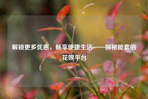 解锁更多优惠，畅享便捷生活——探秘能套的花呗平台