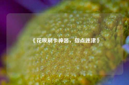 《花呗刷卡神器，指点迷津》