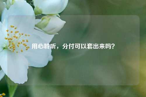 用心聆听，分付可以套出来吗？