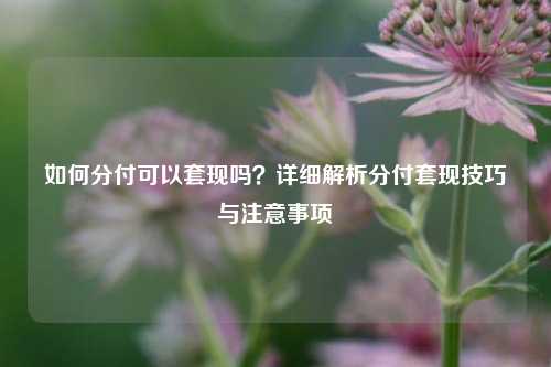 如何分付可以套现吗？详细解析分付套现技巧与注意事项