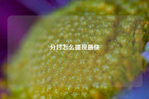 分付怎么提现最快