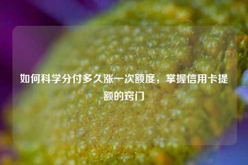 如何科学分付多久涨一次额度，掌握信用卡提额的窍门