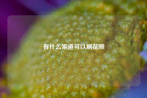 有什么渠道可以刷花呗