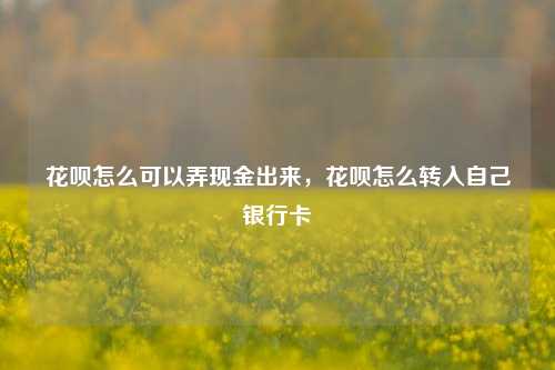 花呗怎么可以弄现金出来，花呗怎么转入自己银行卡