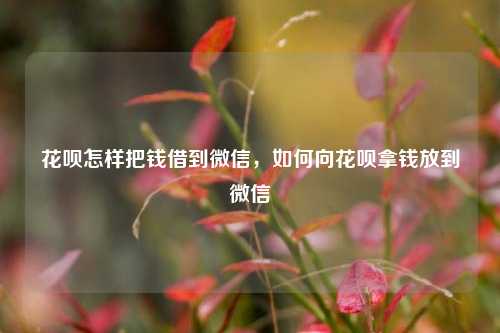 花呗怎样把钱借到微信，如何向花呗拿钱放到微信