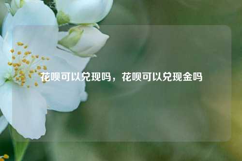 花呗可以兑现吗，花呗可以兑现金吗