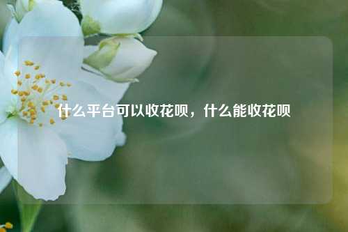 什么平台可以收花呗，什么能收花呗