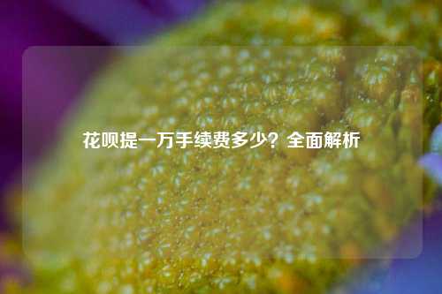 花呗提一万手续费多少？全面解析