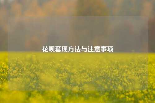 花呗套现方法与注意事项